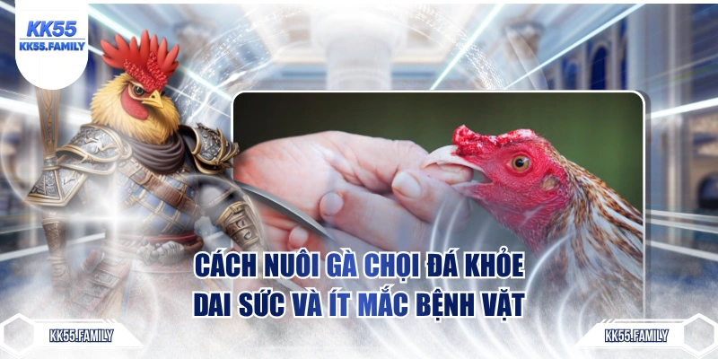 cách nuôi gà chọi
