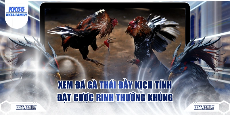 đá gà thái